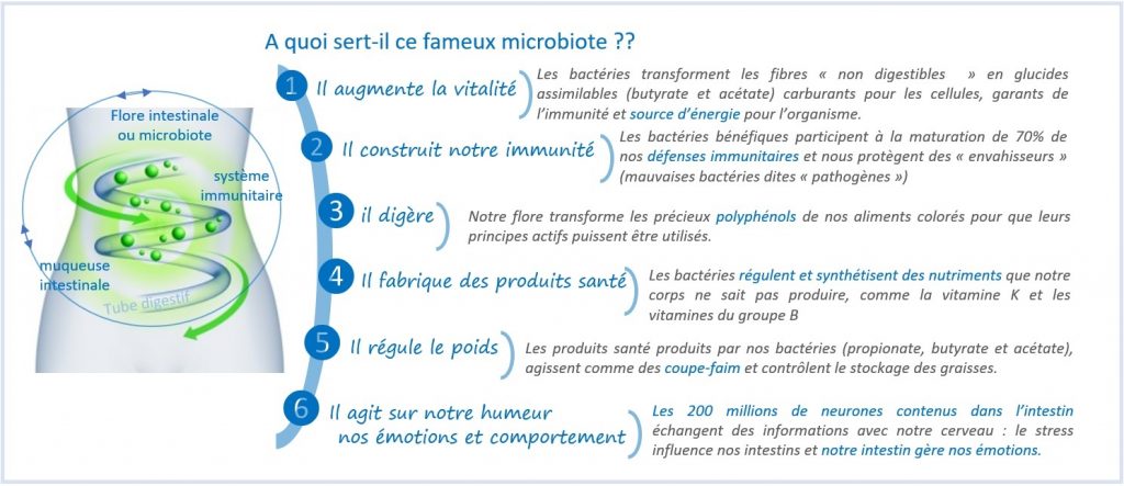 Rôles du microbiote