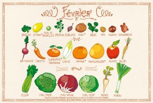 Lire la suite à propos de l’article Calendrier fruits et légumes Février
