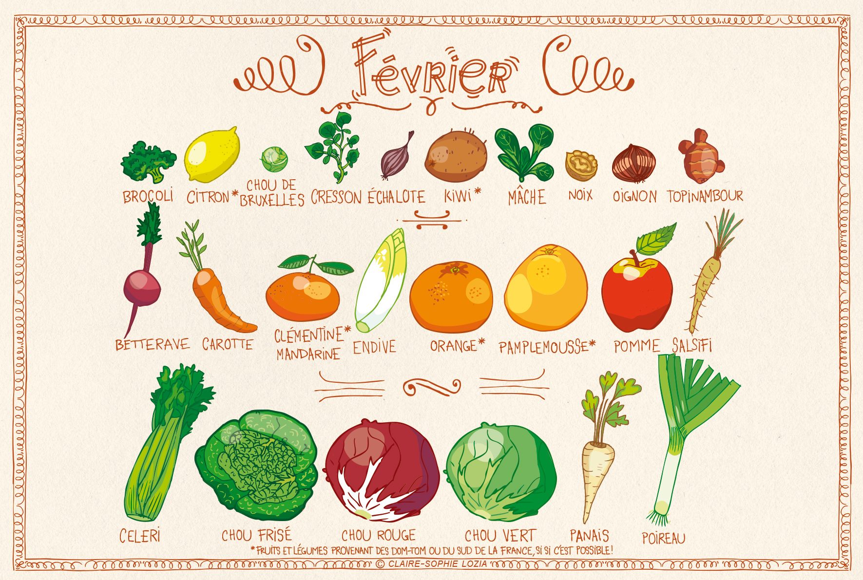 Lire la suite à propos de l’article Calendrier fruits et légumes Février