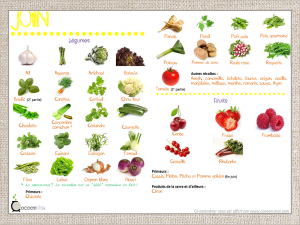 Lire la suite à propos de l’article Calendrier fruits et légumes Juin