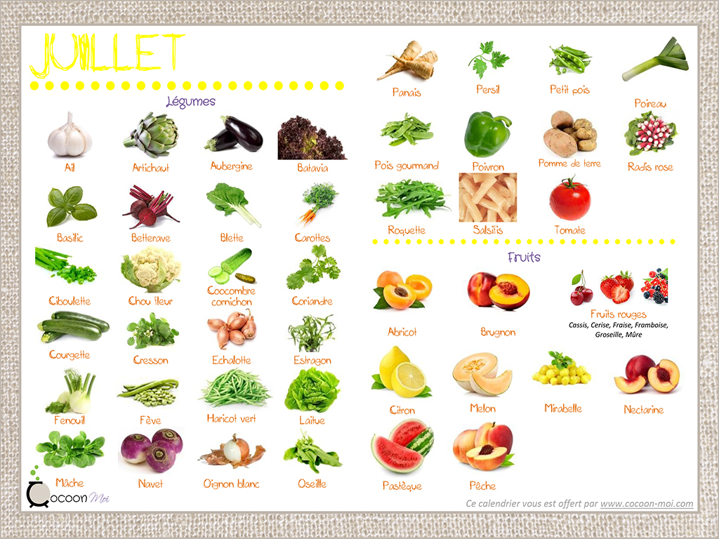 You are currently viewing Calendrier fruits et légumes Juillet