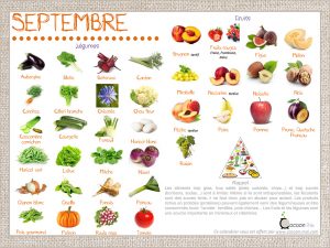 Lire la suite à propos de l’article Calendrier fruits et légumes Septembre