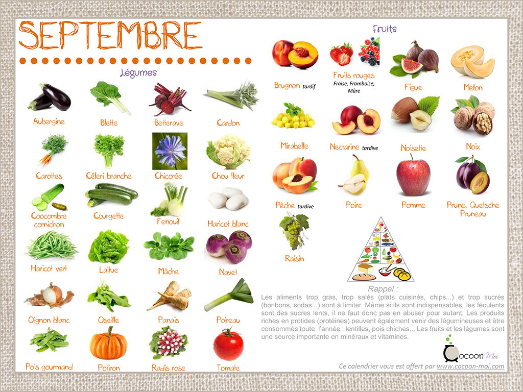 Lire la suite à propos de l’article Calendrier fruits et légumes Septembre